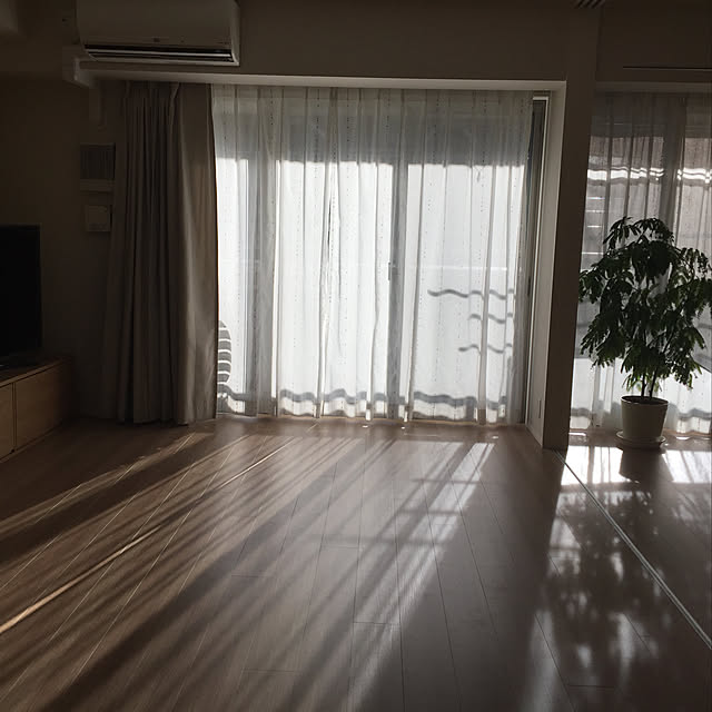 iwamayuさんの実例写真