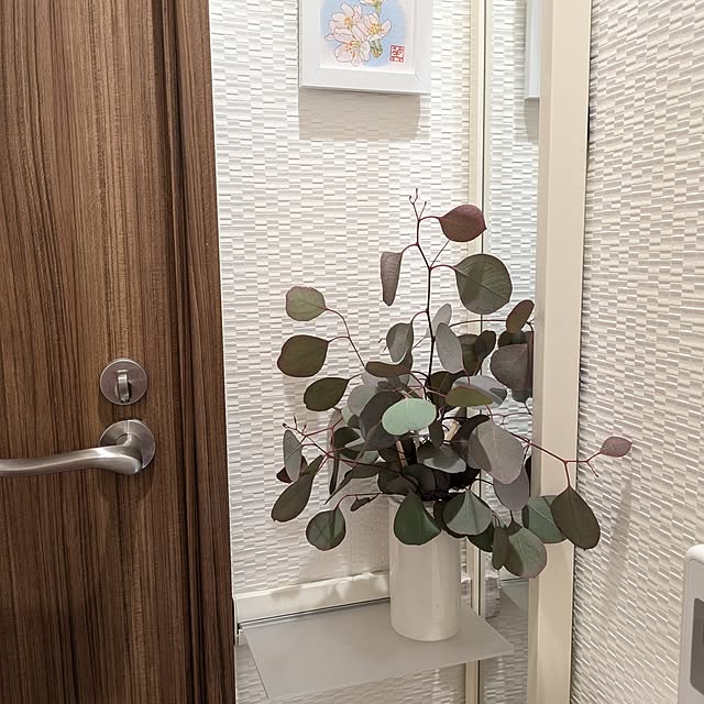 mi-saさんの実例写真