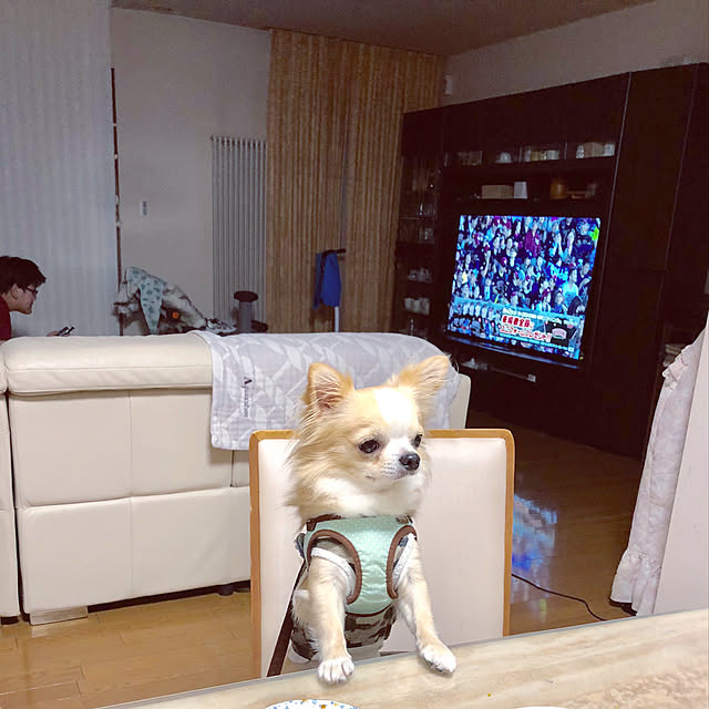 nnmmさんの実例写真