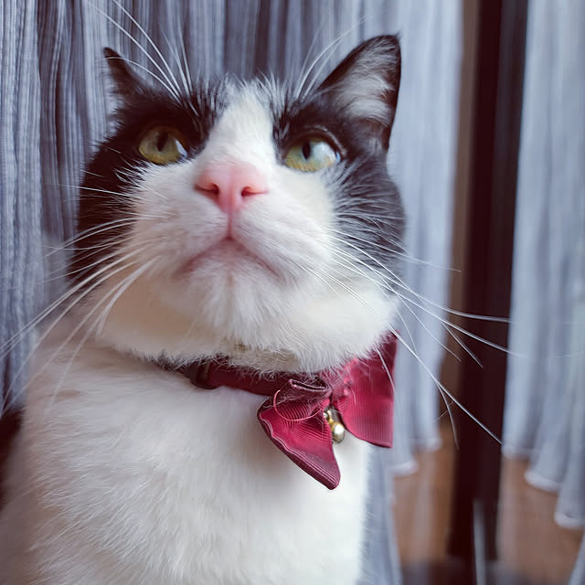 Yukoさんの実例写真