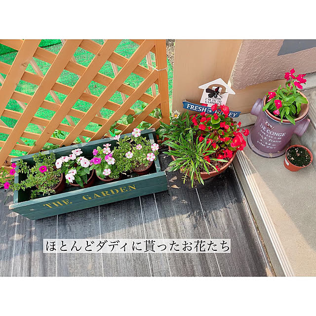 chaluさんの実例写真