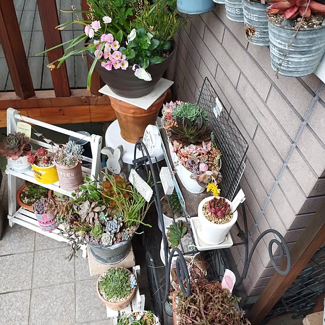yasue.ichnoさんの部屋