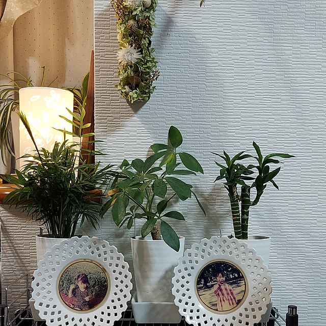 nobuさんの実例写真