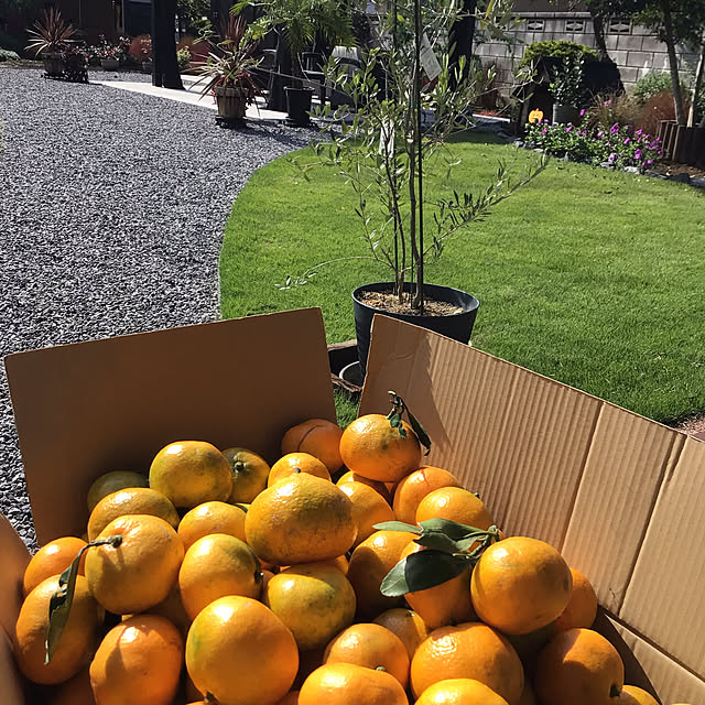 houenさんの部屋