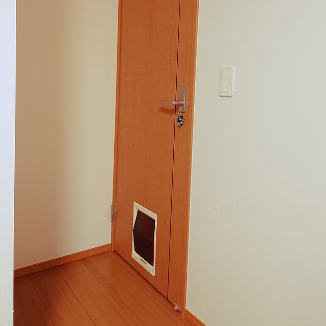 noguriさんの実例写真