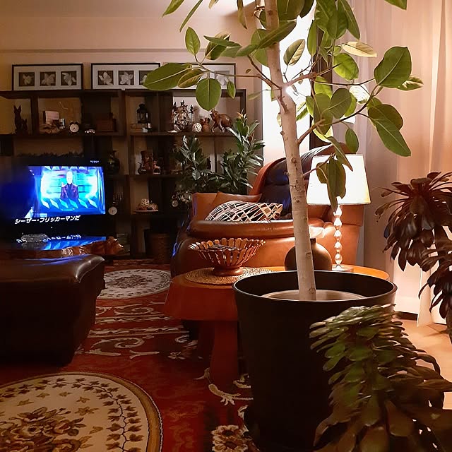 seijiさんの部屋
