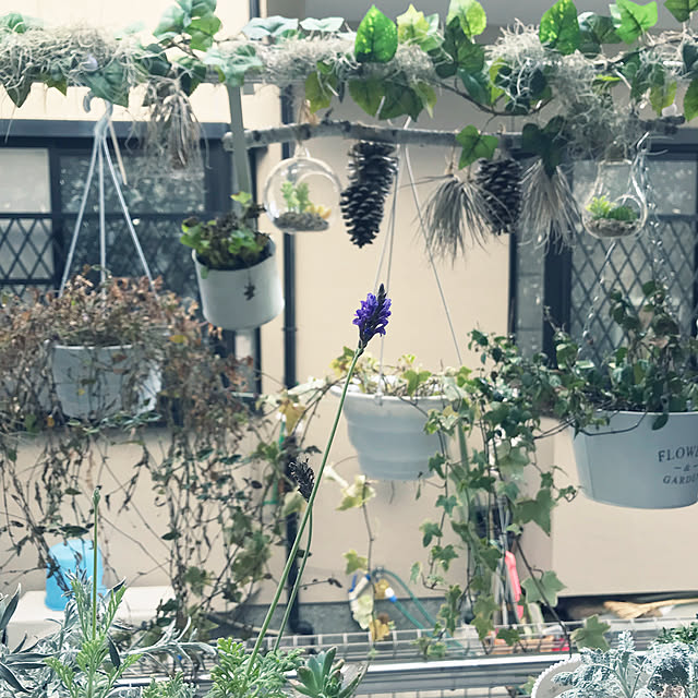 earlさんの実例写真