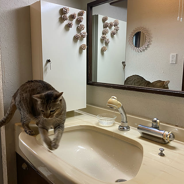 chokku23さんの実例写真
