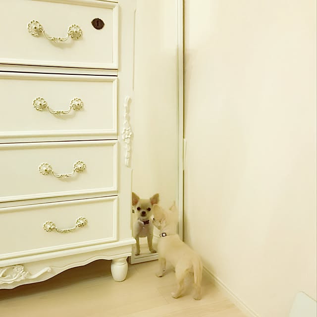 Lapinさんの実例写真
