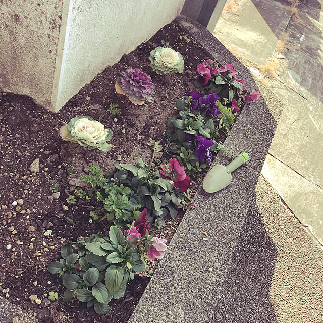 tommysobacさんの実例写真