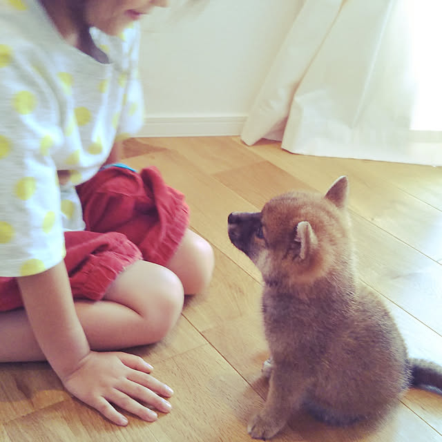 mikinon0916さんの実例写真