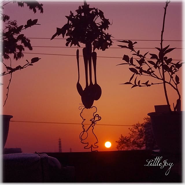 littlejoyさんの実例写真