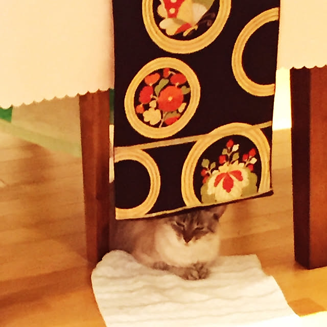 bonobono54さんの実例写真