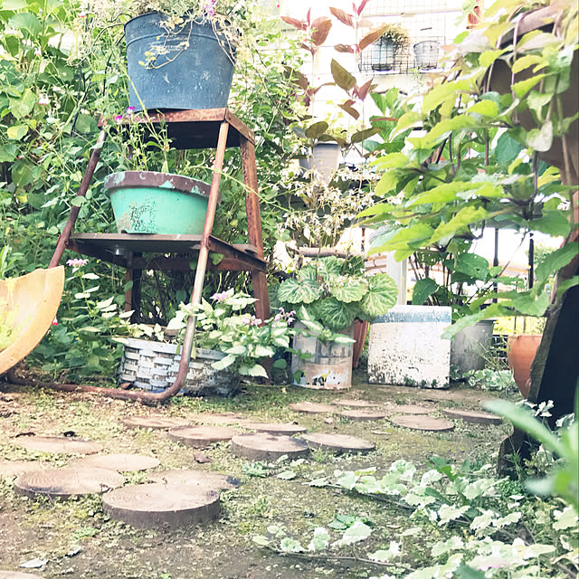 kokko3さんの実例写真