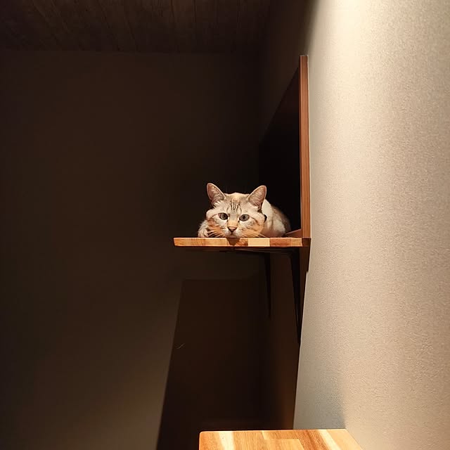 Atelier_tamakiさんの部屋