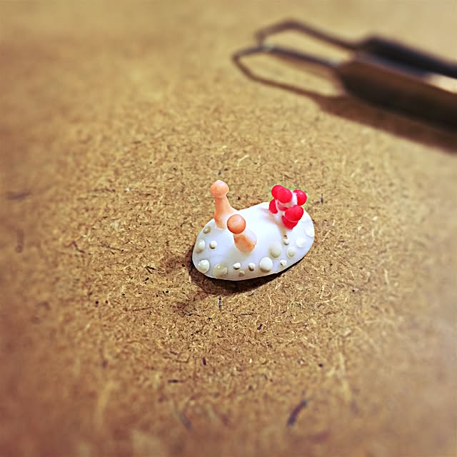 ramuchop3000さんの実例写真