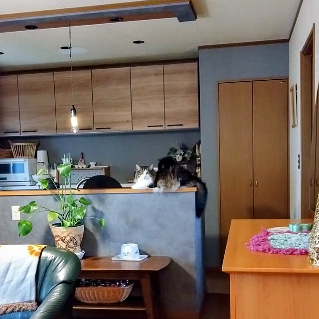 CHIKAさんの実例写真