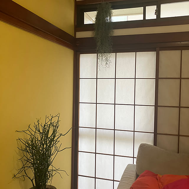 kさんの実例写真