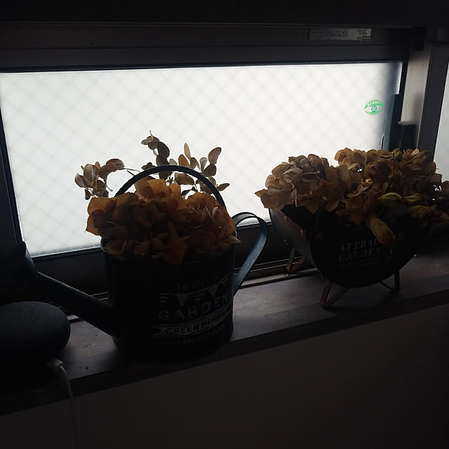 nussさんの部屋