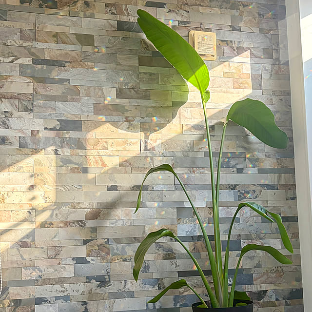 MOMOMAMAさんの実例写真