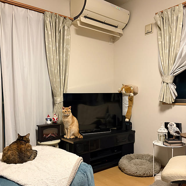 chiiさんの実例写真