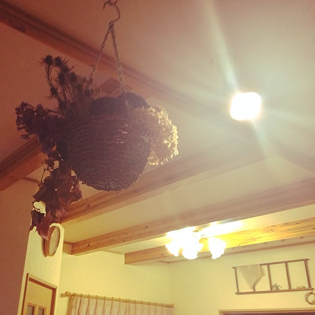 solanaさんの実例写真