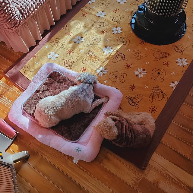 kumutanさんの部屋