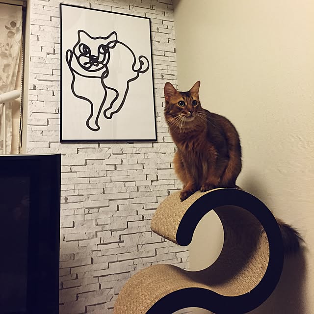 実例写真