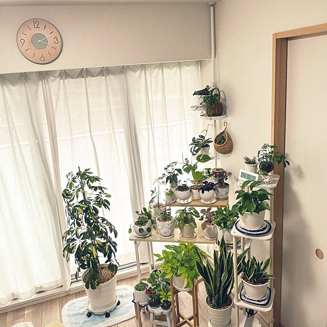 yoyoyoさんの部屋