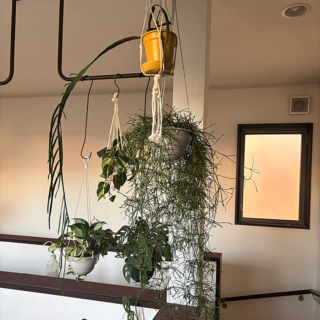 greycatsさんの部屋