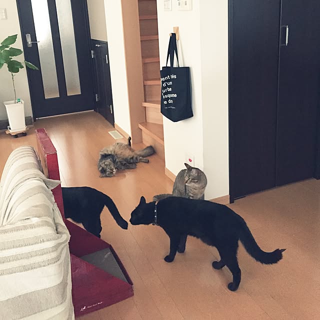 yuki0511さんの実例写真
