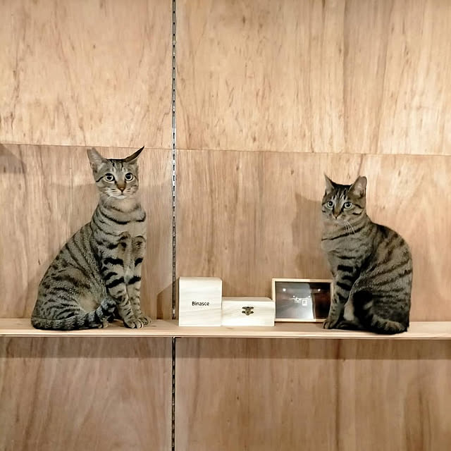 TAKさんの実例写真