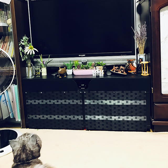 Marinさんの実例写真