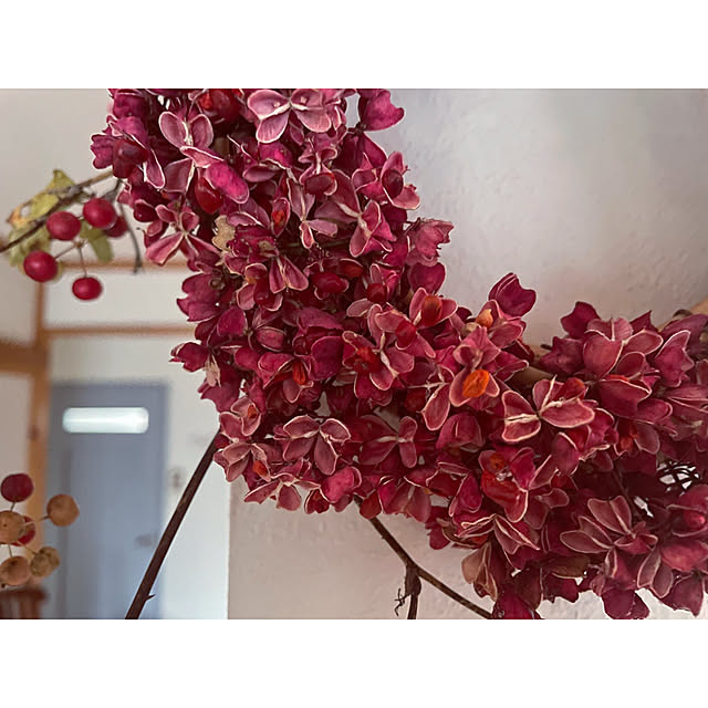 marucoさんの部屋