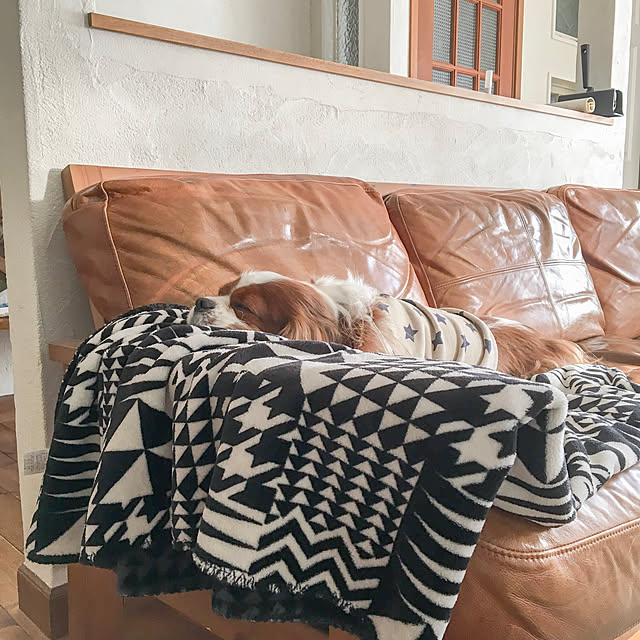 miyaさんの実例写真