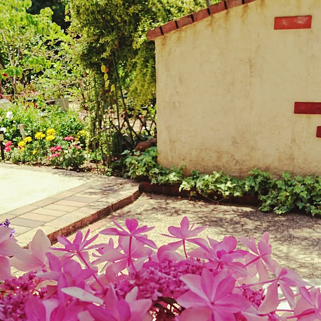 moku2さんの実例写真