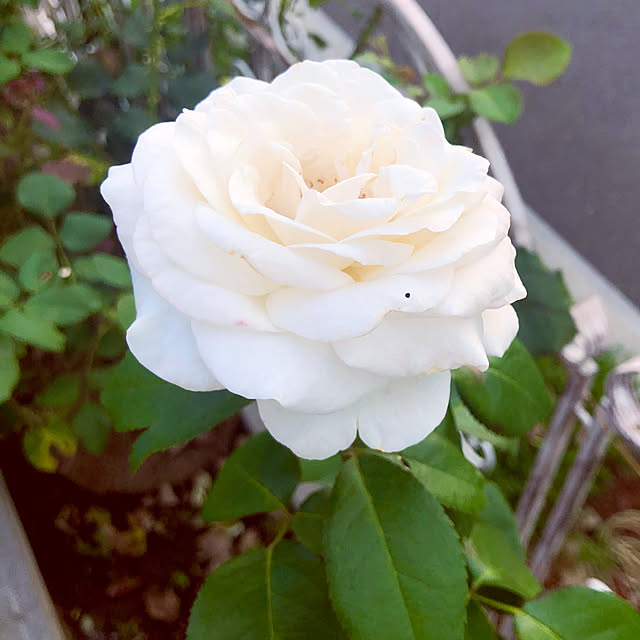 tomoさんの部屋