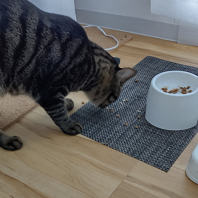 hihaさんの実例写真