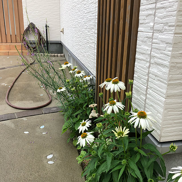 fuwalilyさんの実例写真