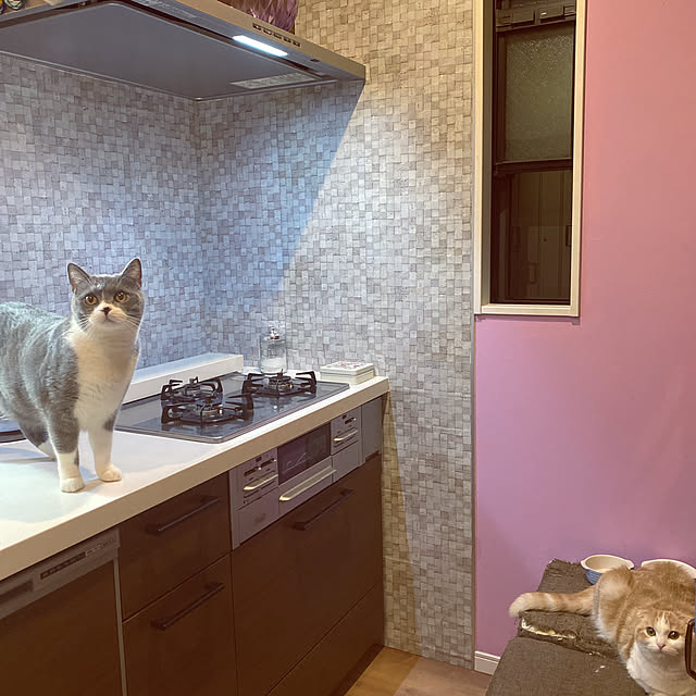 poniさんの実例写真