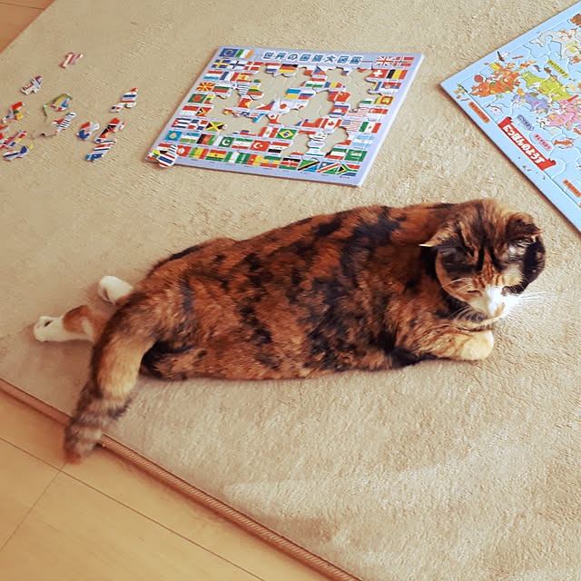 aiさんの実例写真
