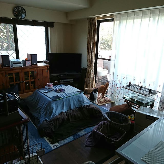 okyosan101さんの実例写真