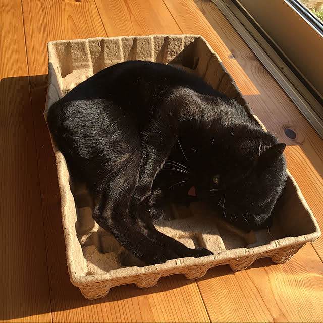 pitaさんの実例写真