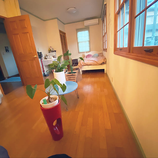 植物のある暮らし/輸入住宅/花のある暮らし/観葉植物/カフェ風...などのインテリア実例 - 2021-03-12 14:14:08