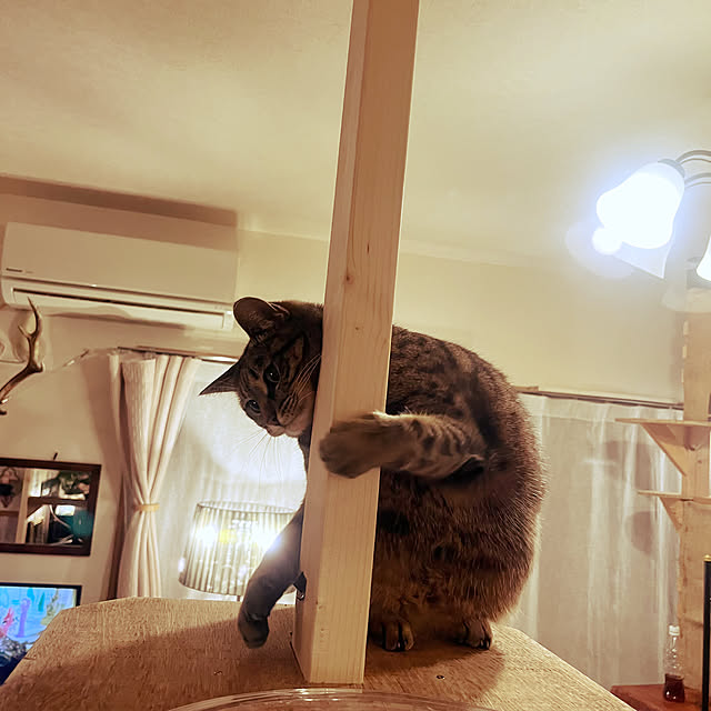 Mさんの部屋
