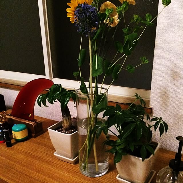 Yuukomiuraさんの実例写真