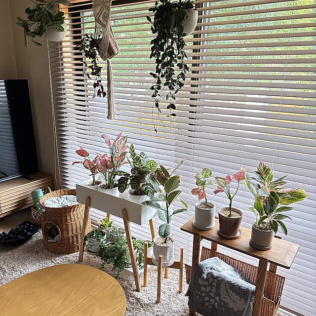 chinaさんの部屋