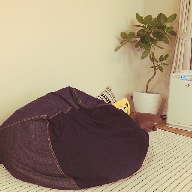usapippiさんの実例写真