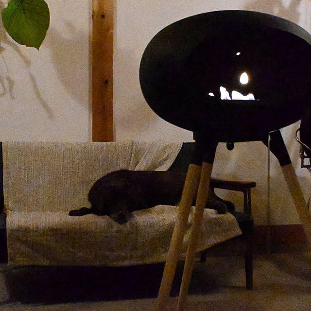 yukikoさんの部屋