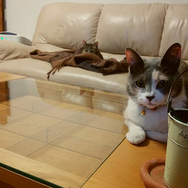 tomo1220さんの実例写真